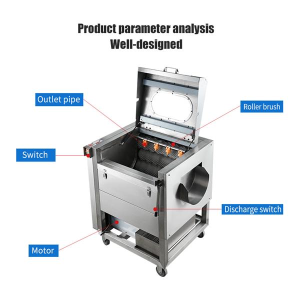 Potato Washing And Peeling Machine