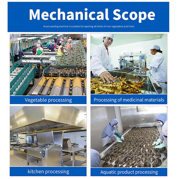 Potato Washing And Peeling Machine